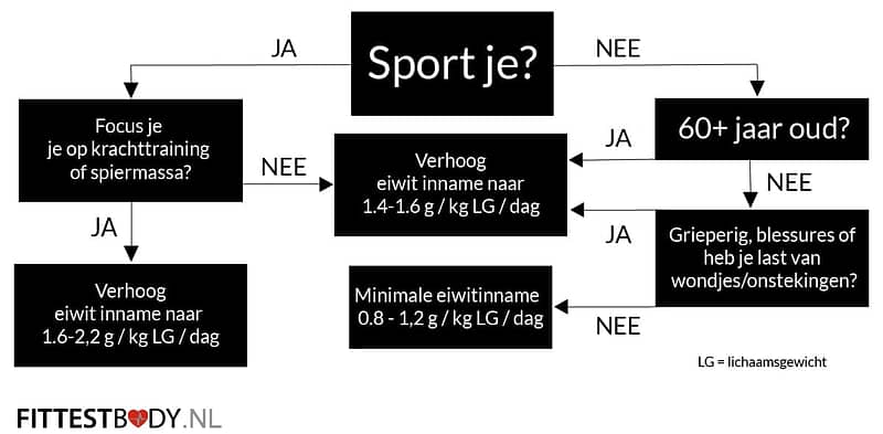 Eiwit inname bepalen Eiwit inname bepalen