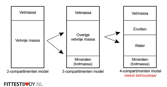 Lichaamssamenstelling